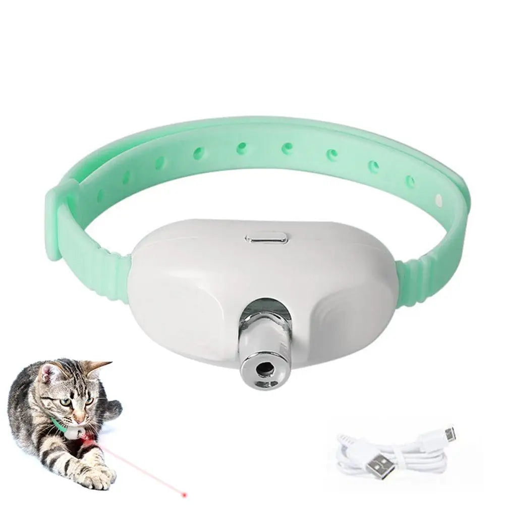 Gato a brincar com coleira laser — estimulação física e mental