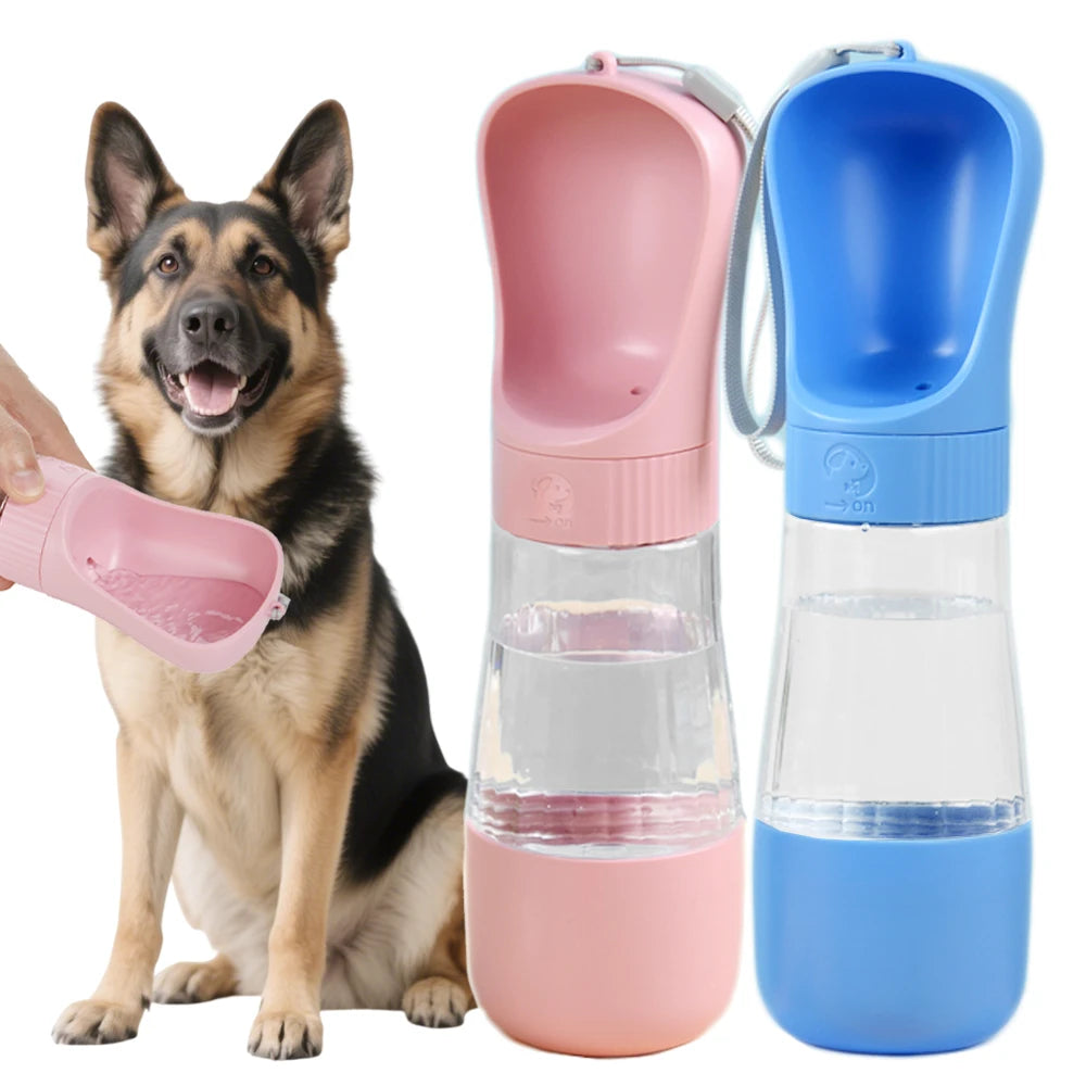 LuxeSip-Bottle 2 in 1