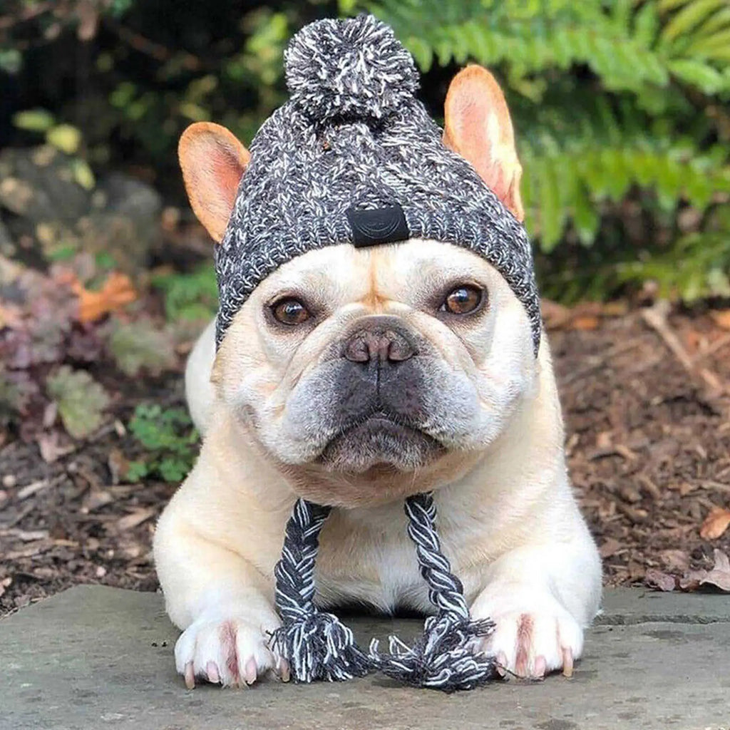Gorro de malha elástica para cão — tamanho M