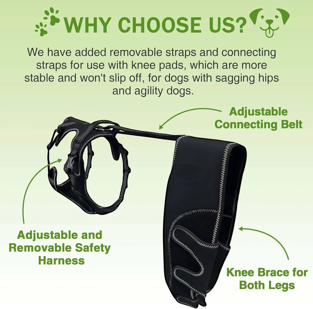 Joelheira ortopédica para cão em neoprene respirável