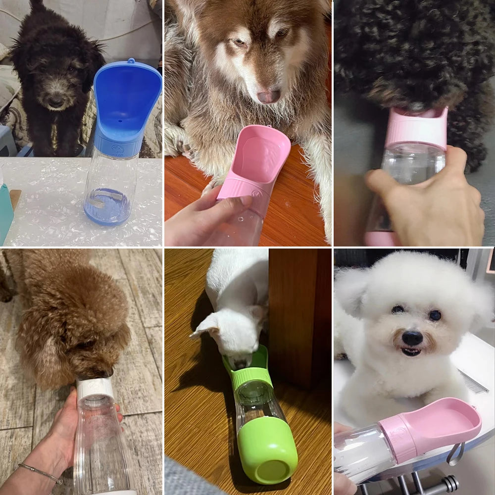 LuxeSip-Bottle 2 in 1