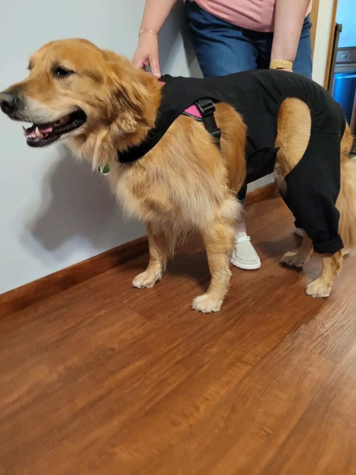 LuxeRecovery — Suit