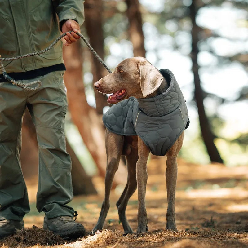 Casaco de Inverno com Gola Alta para Pets — Proteção extra para os dias mais frios