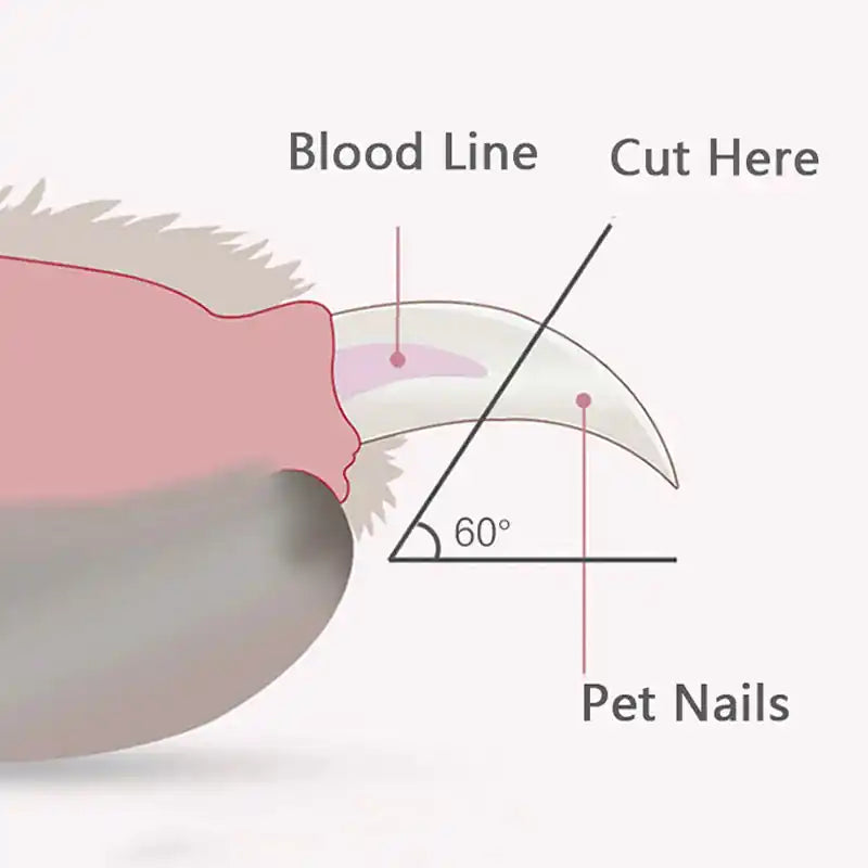Cortador de unhas com LED para gatos e cães — variante kaki