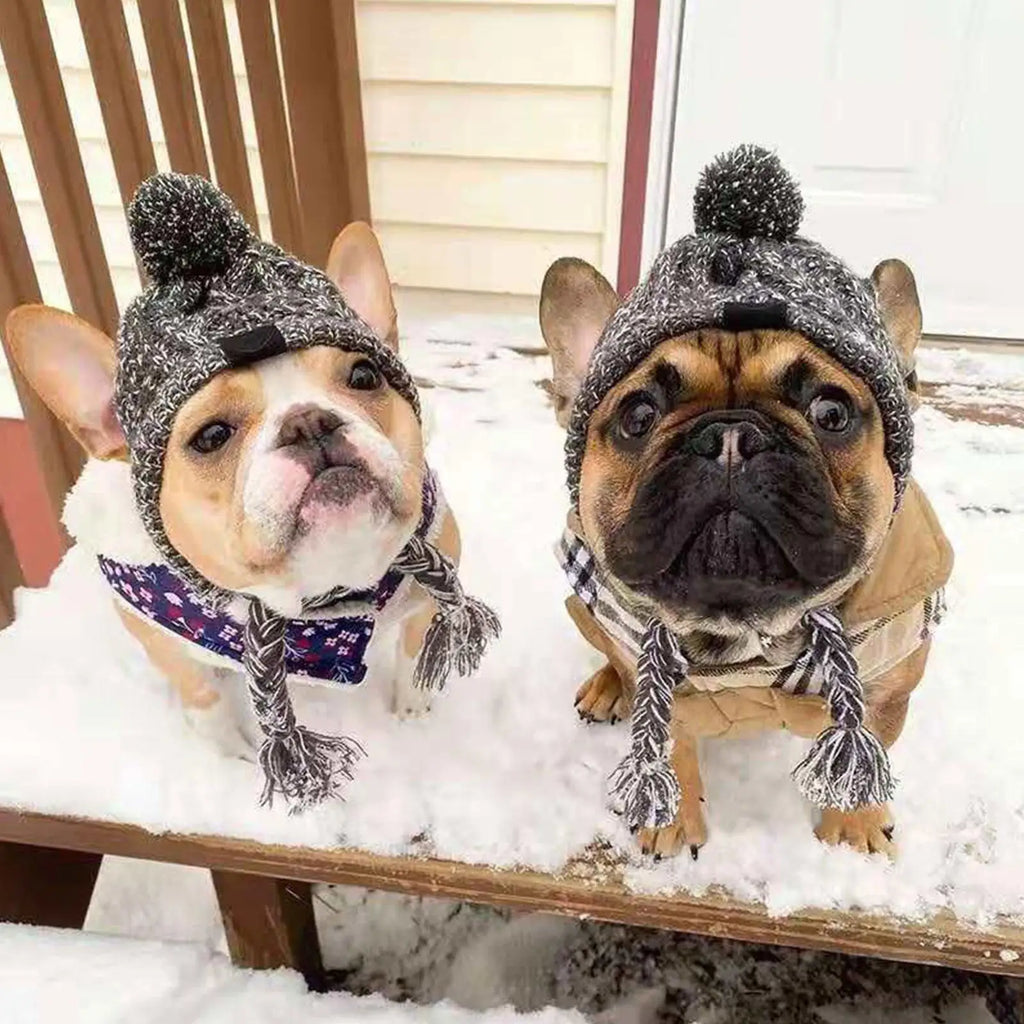 Gorro inverno para cão pequeno — detalhe do encaixe na cabeça