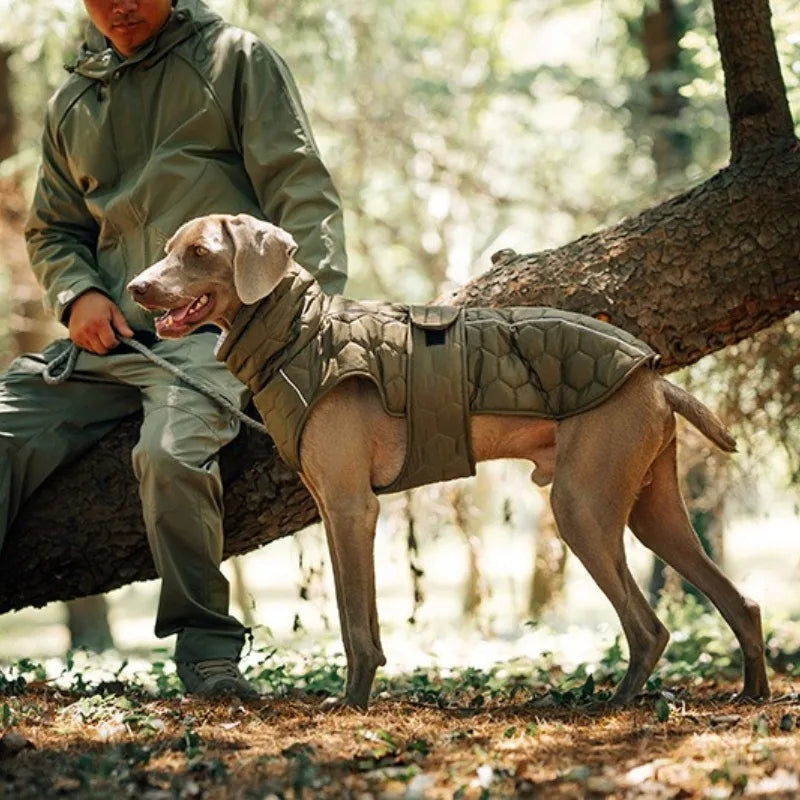 Casaco de Inverno com Gola Alta para Pets — Proteção extra para os dias mais frios