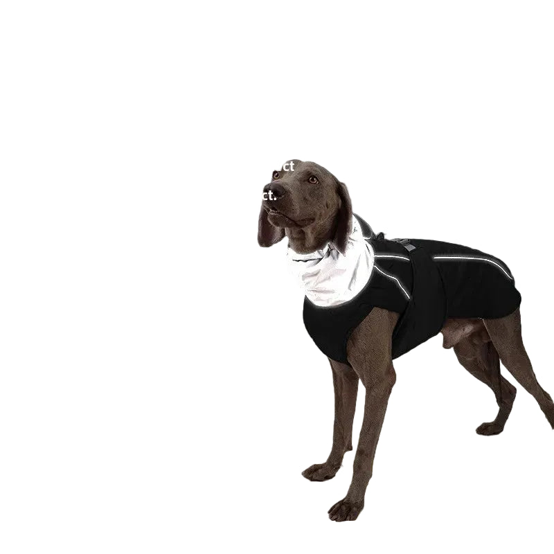 LuxeReflect — Jacket