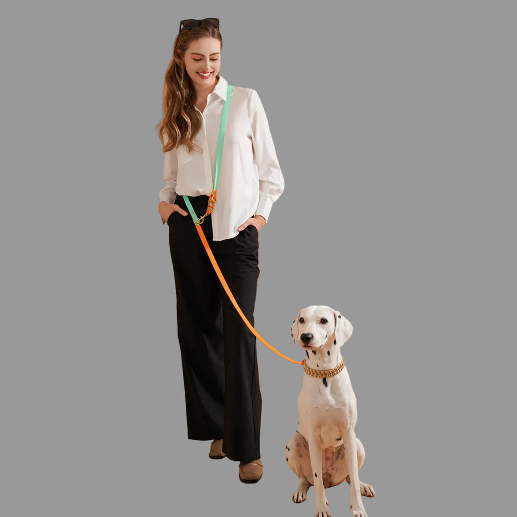 Guia Resistente Artesanal para Cães — Força, luxo e controlo total