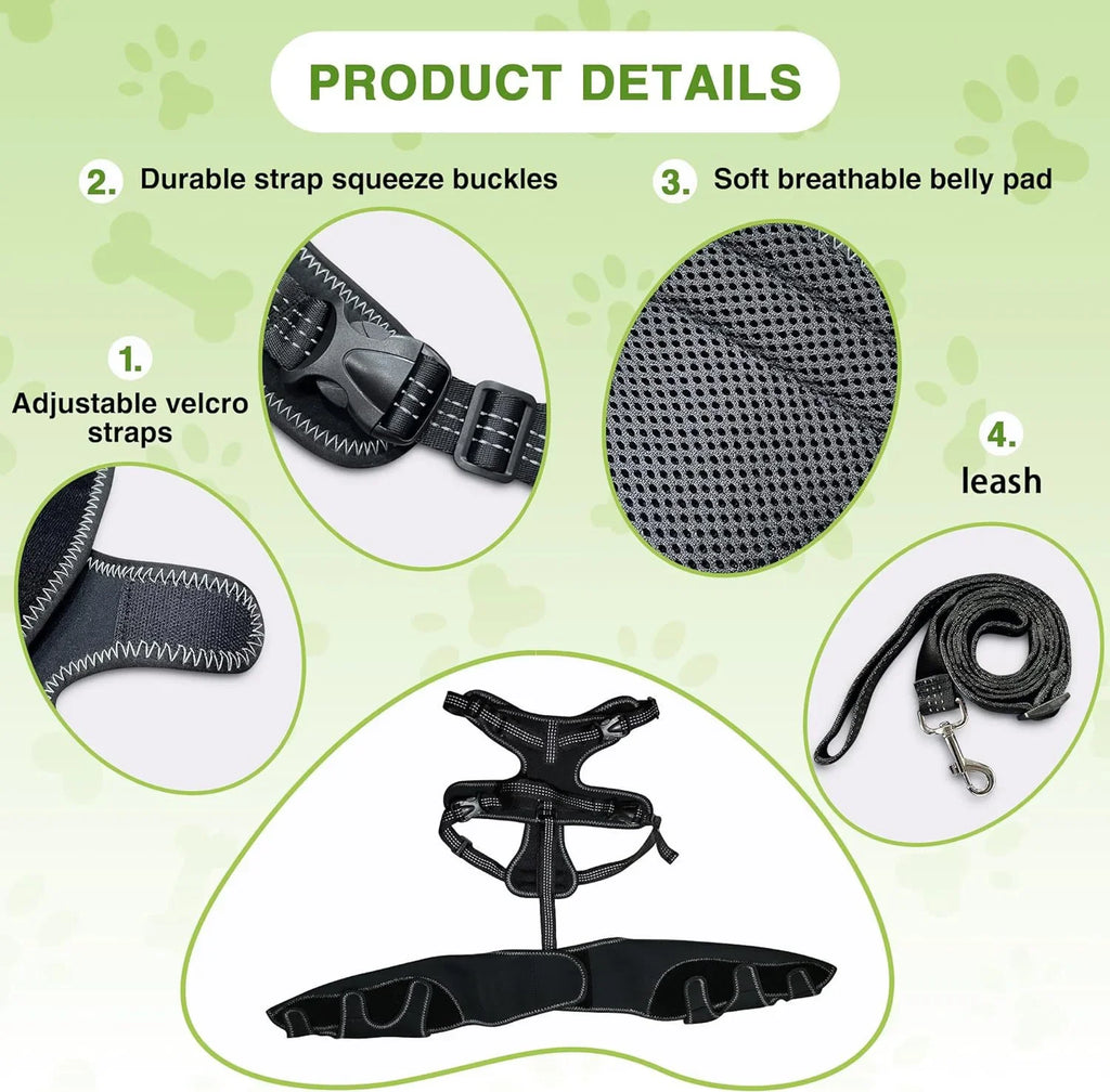 Cão com joelheira de suporte articular a caminhar no jardim