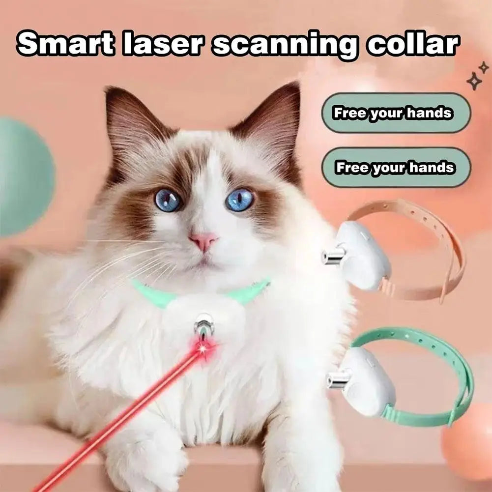 Gato com coleira laser a perseguir o ponto luminoso