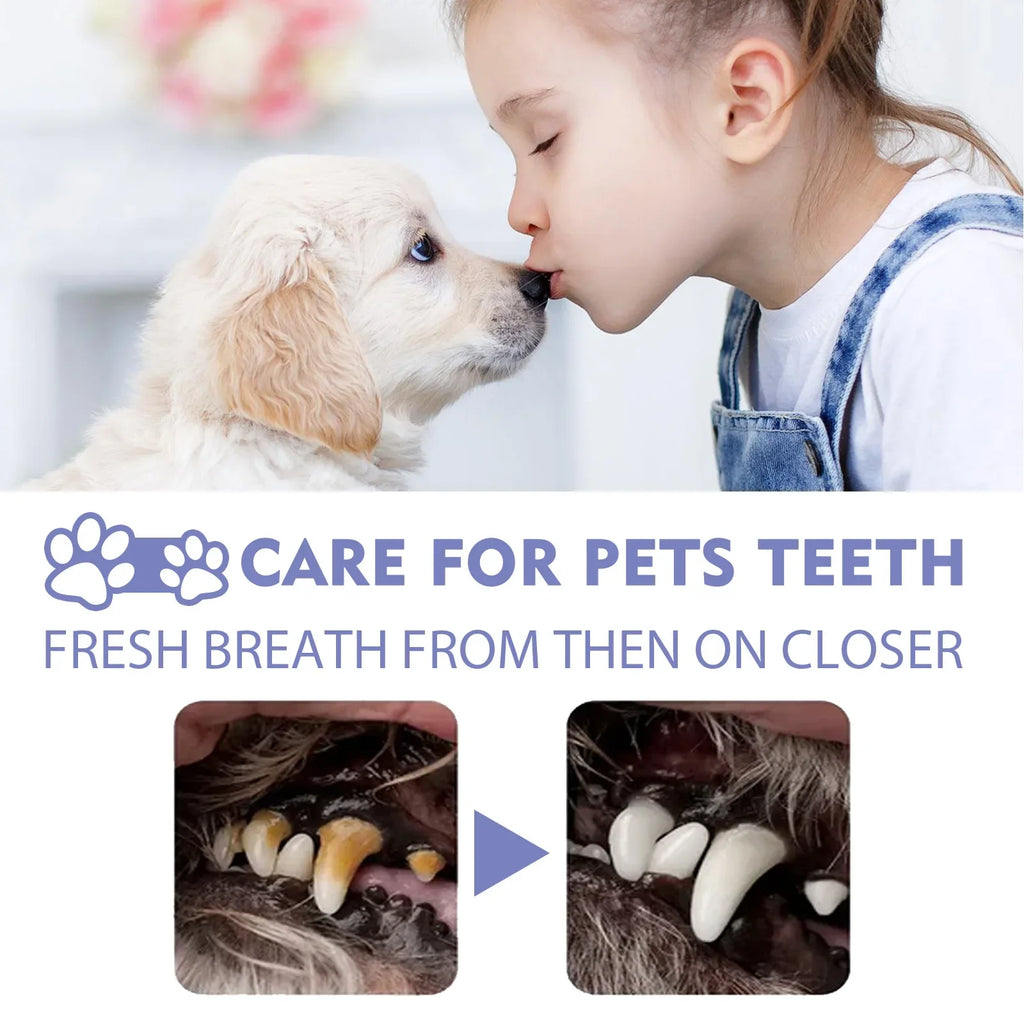 Spray dental pet — ingredientes naturais sem álcool
