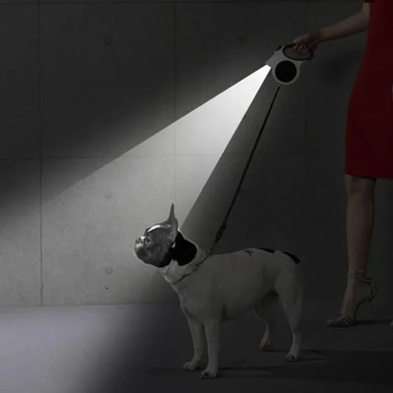 LED da trela retrátil iluminada para cão no escuro