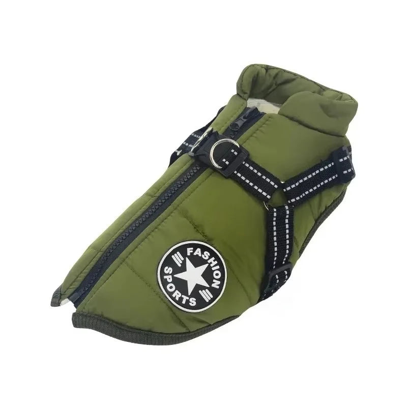 LuxeShield — Jaquet