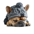 Gorro de inverno para cães — bulldog francês com gorro colorido