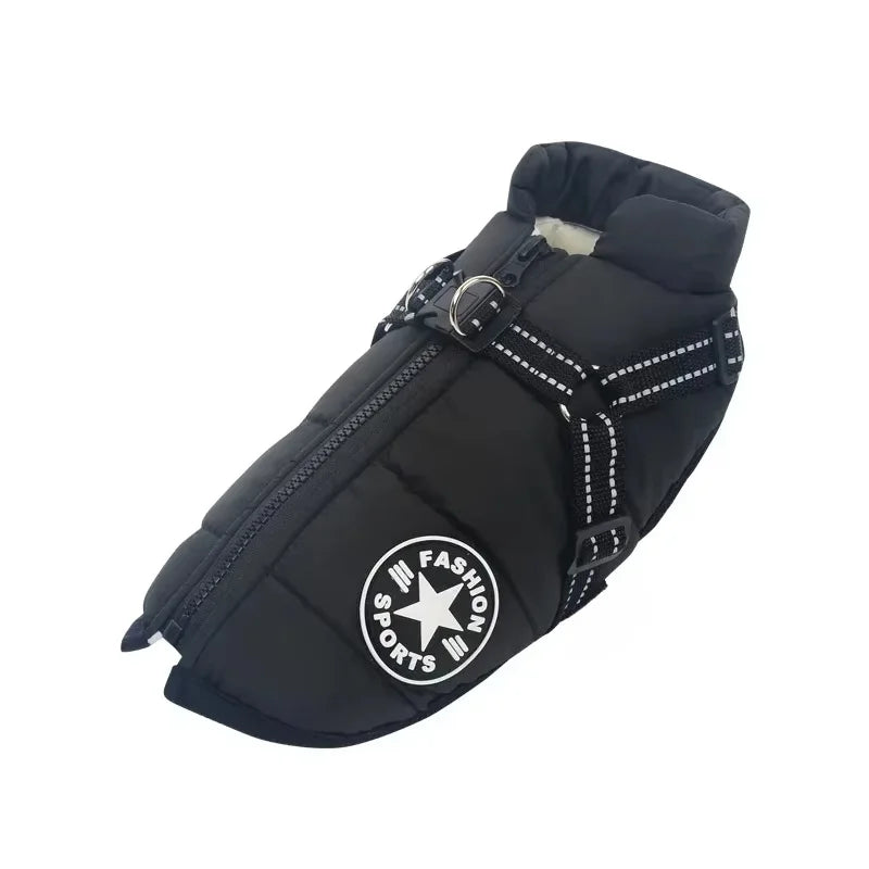 LuxeShield — Jaquet