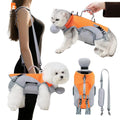 Bolsa Transportadora 2 em 1 para Pets Pequenos — Vai a qualquer lado com o teu pet