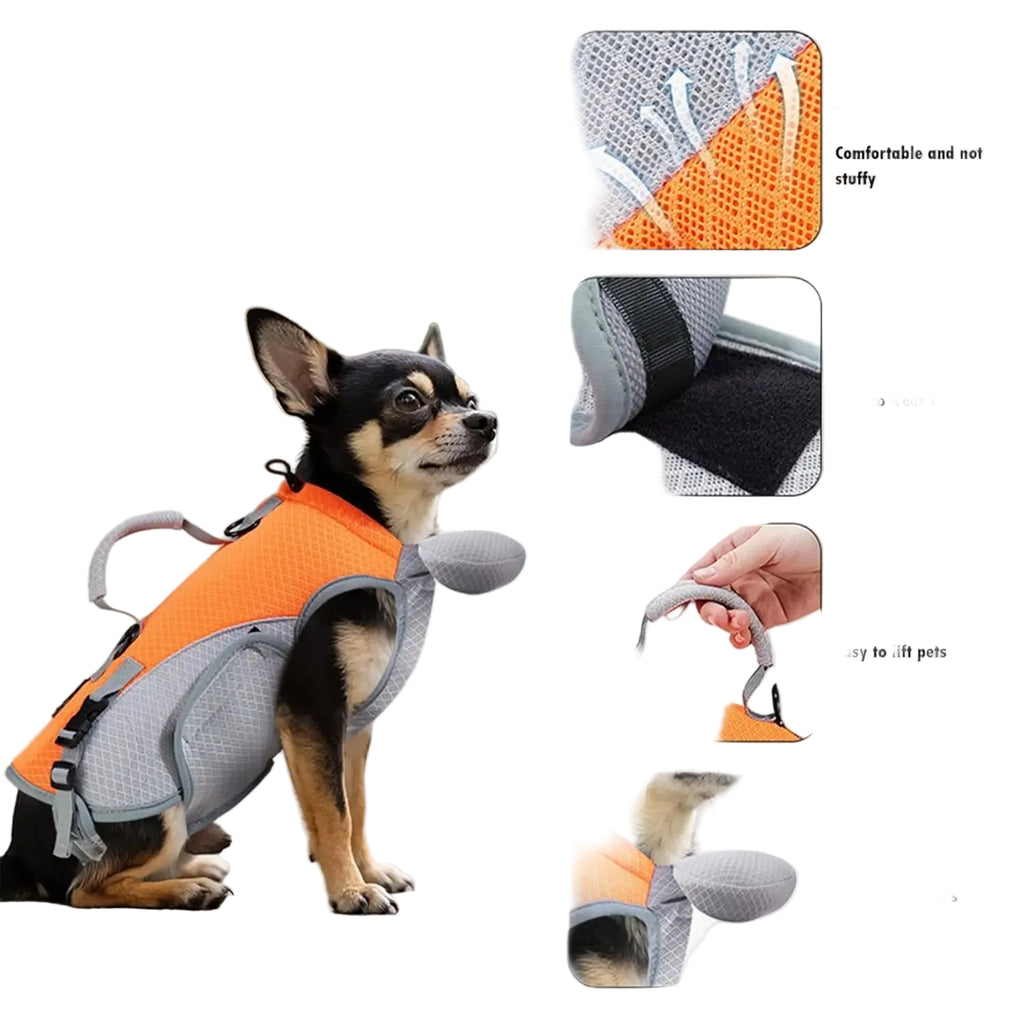 Bolsa Transportadora 2 em 1 para Pets Pequenos — Vai a qualquer lado com o teu pet