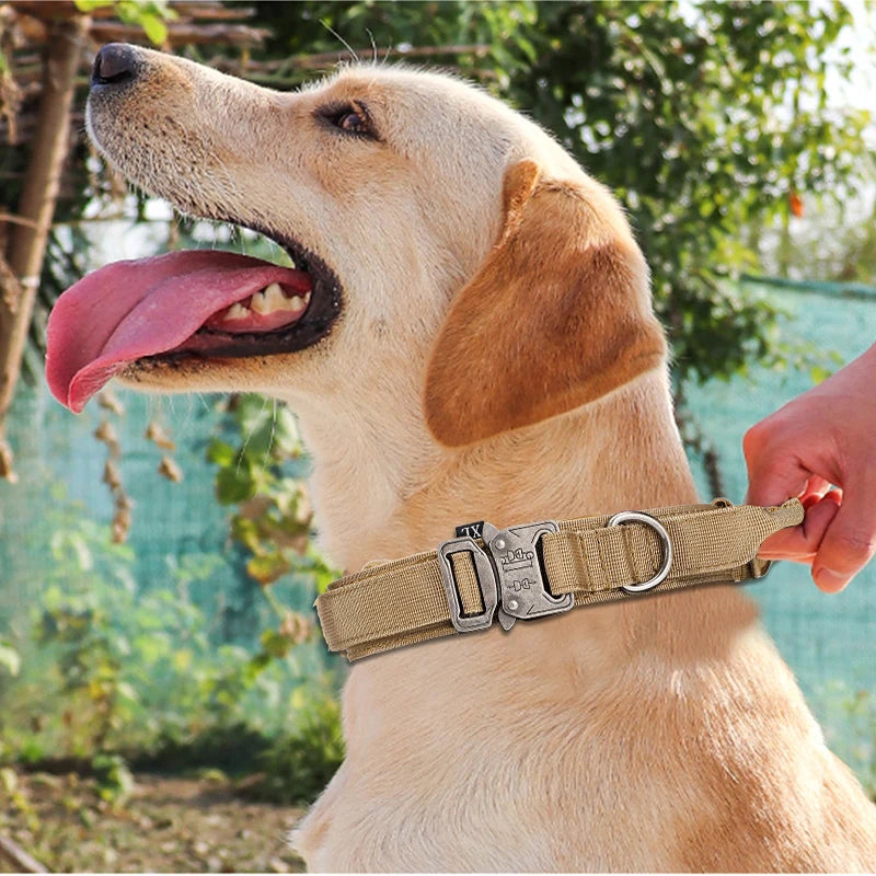 Kit Coleira e Guia Tática para Cães — Controlo máximo, durabilidade garantida