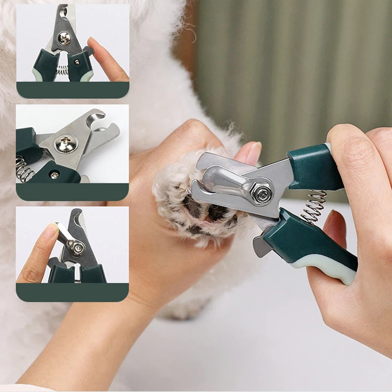 Escova de cerdas do kit grooming para pelo longo de cão