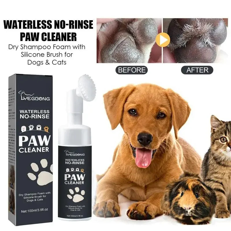 Aplicação da espuma limpadora nas patas do cão