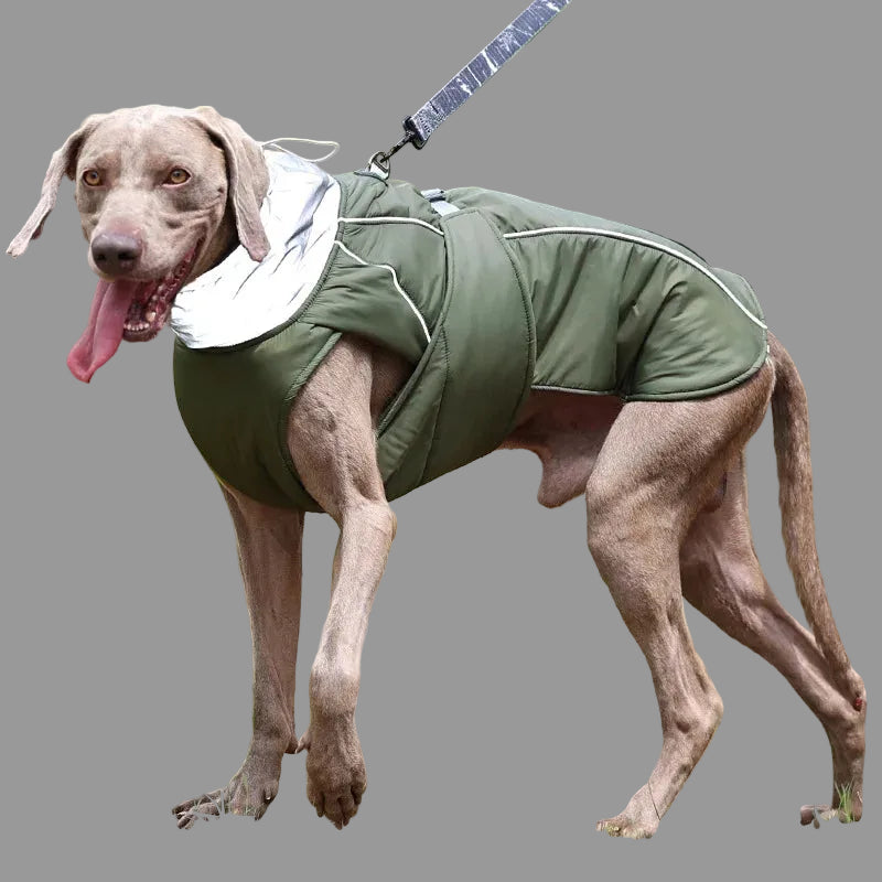 LuxeReflect — Jacket