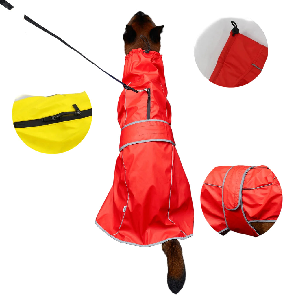 Cão com capa de chuva refletiva à noite — visibilidade garantida