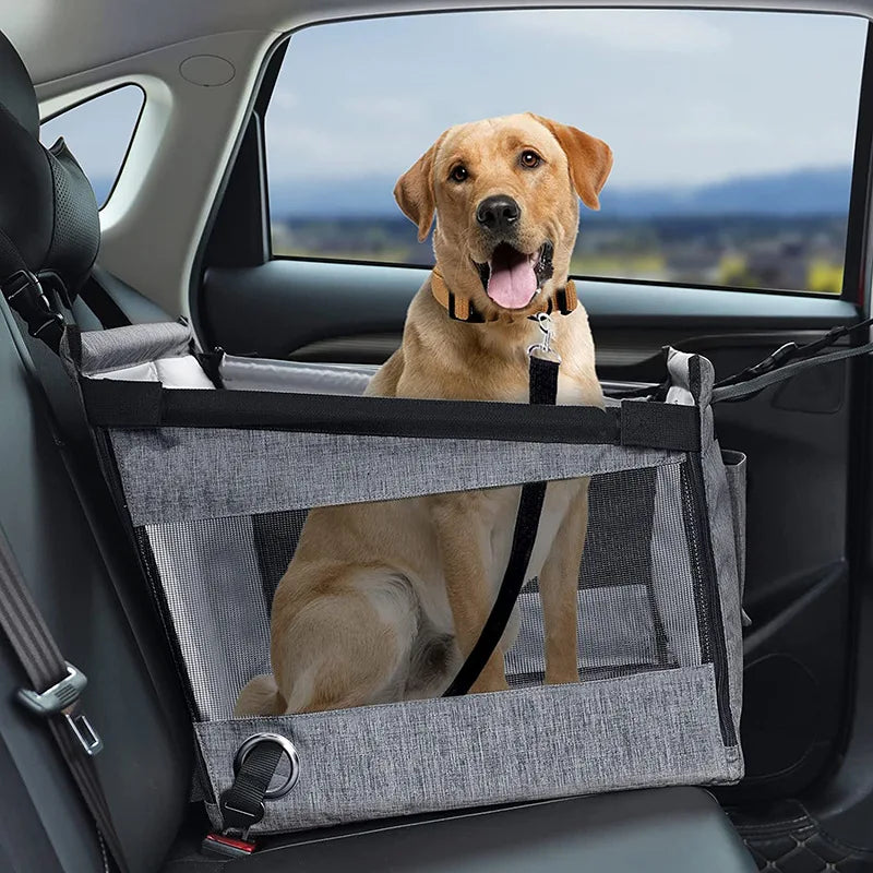 Assento de Carro para Cão — Confortável e seguro em cada viagem