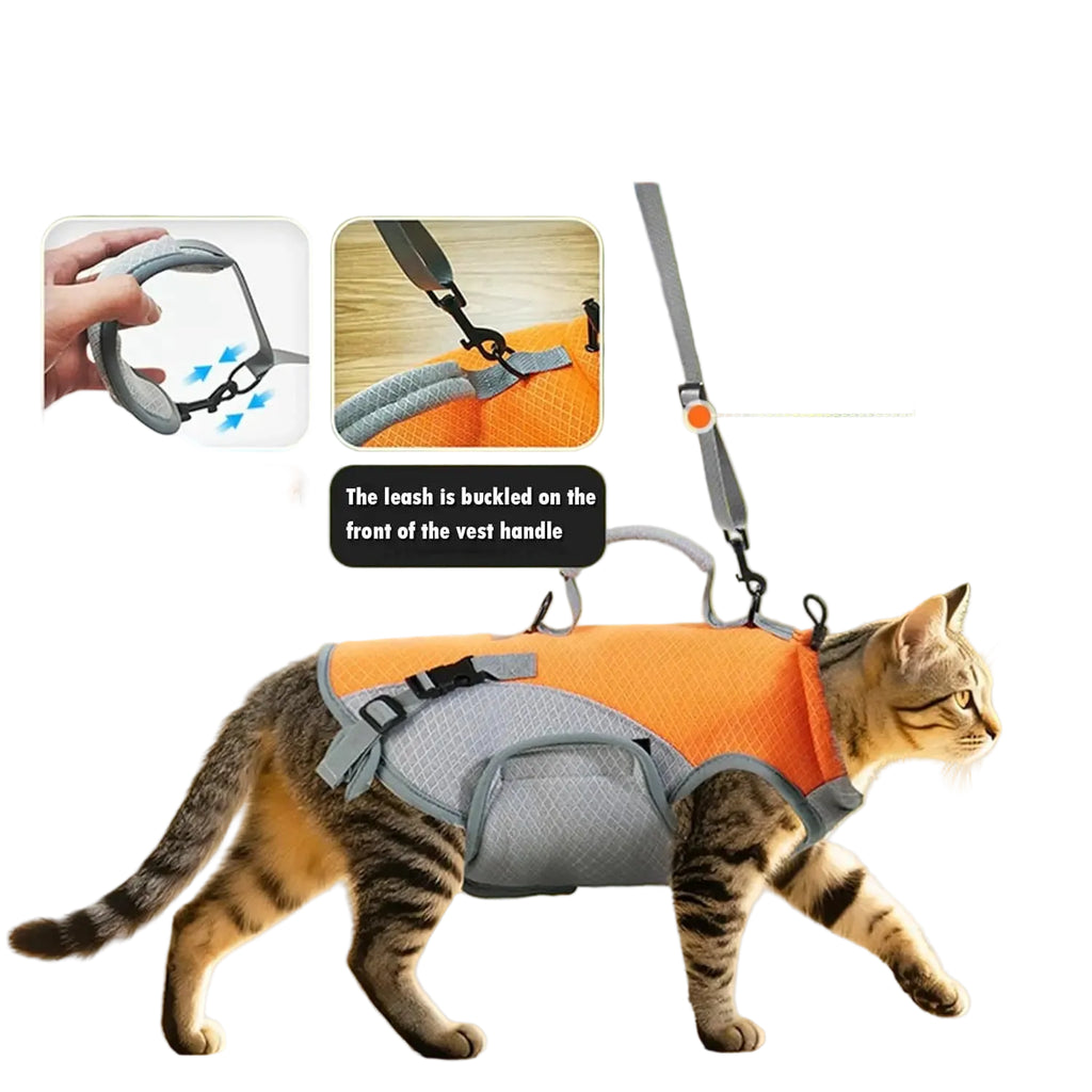 Bolsa Transportadora 2 em 1 para Pets Pequenos — Vai a qualquer lado com o teu pet