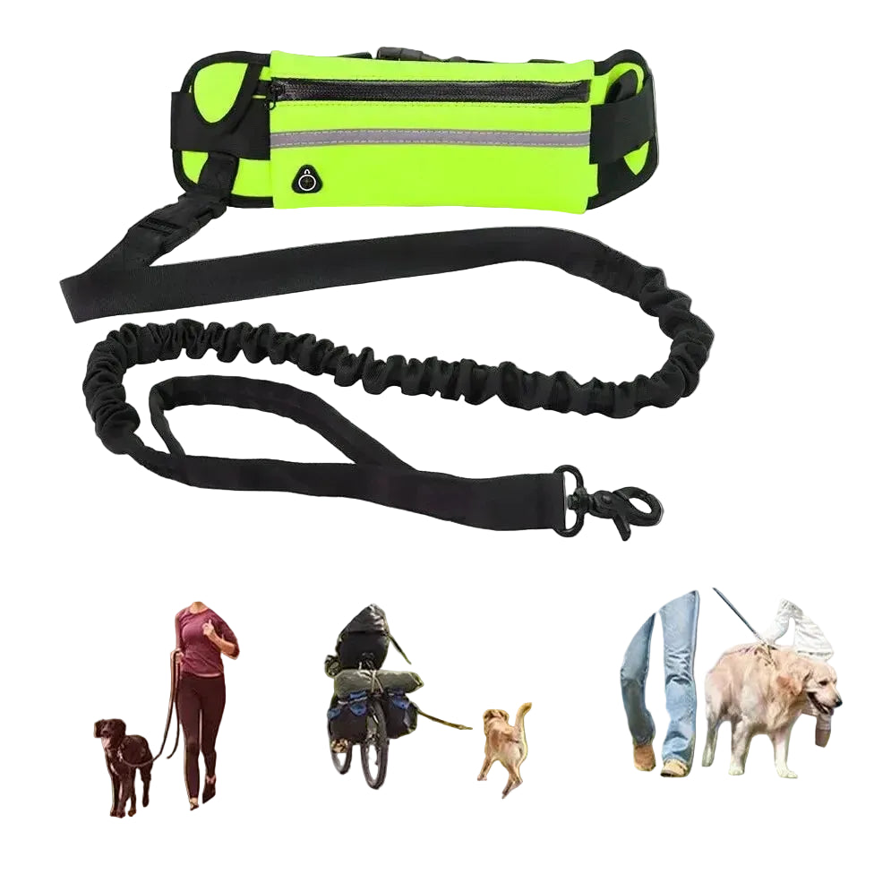 Cinto de Corrida com Cão — Mãos livres, ritmo mantido, segurança garantida