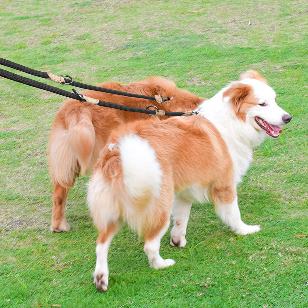 Guia dupla para dois cães castanha — comprimento 210cm
