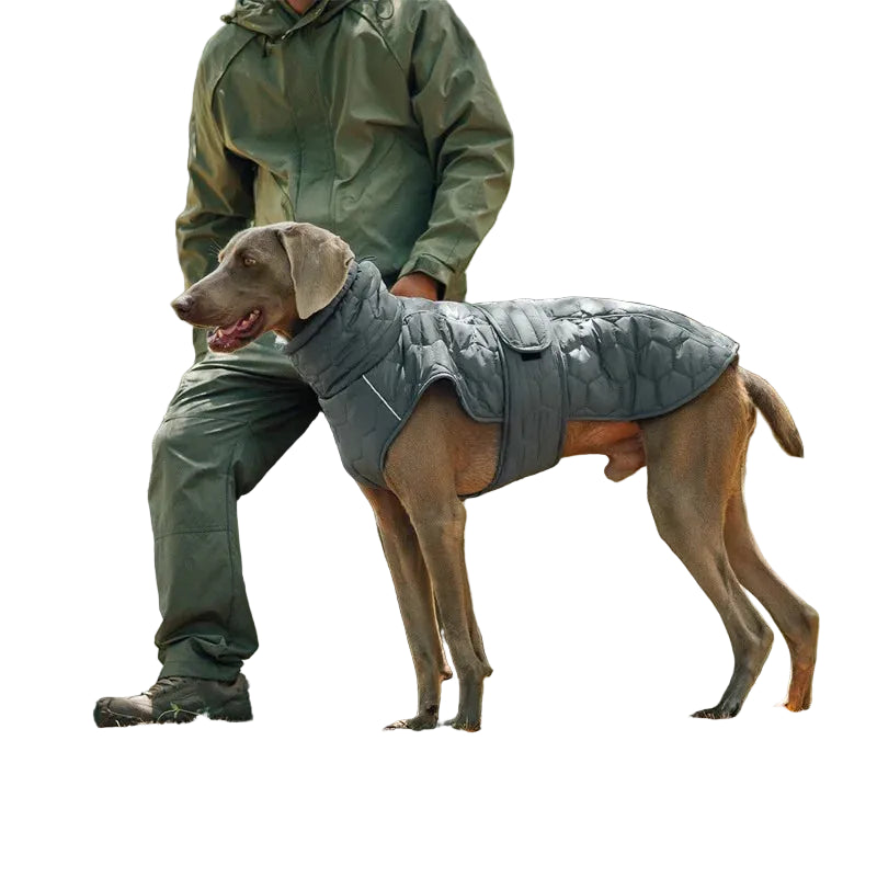 Casaco de Inverno com Gola Alta para Pets — Proteção extra para os dias mais frios