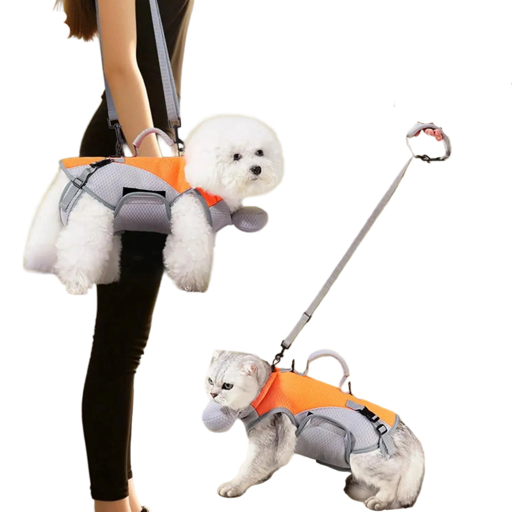Bolsa Transportadora 2 em 1 para Pets Pequenos — Vai a qualquer lado com o teu pet
