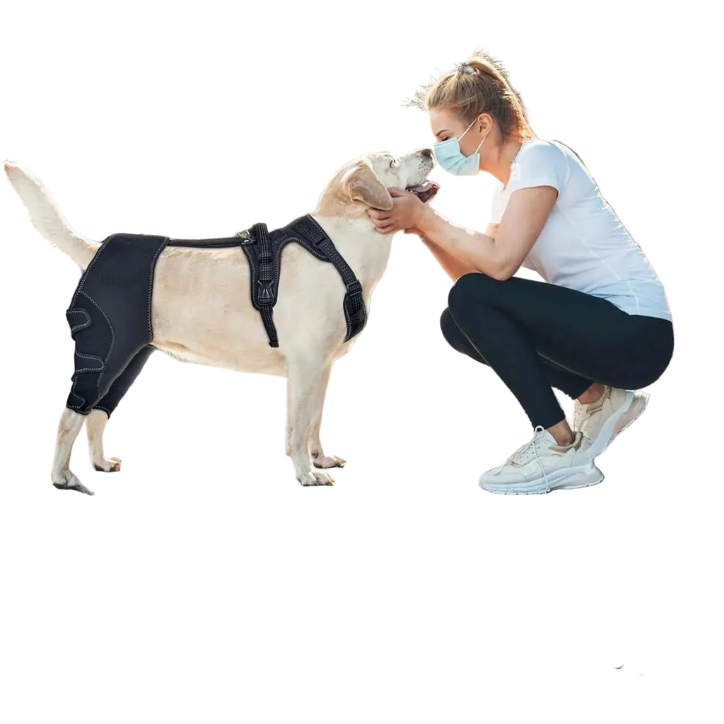 Velcro ajustável da joelheira articular para cão — detalhe