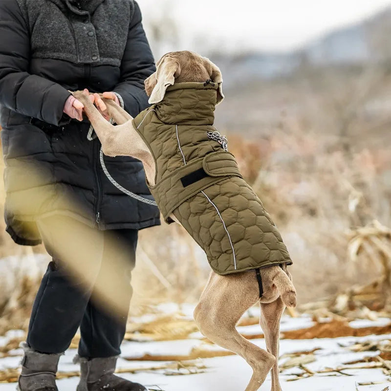 Casaco de Inverno com Gola Alta para Pets — Proteção extra para os dias mais frios
