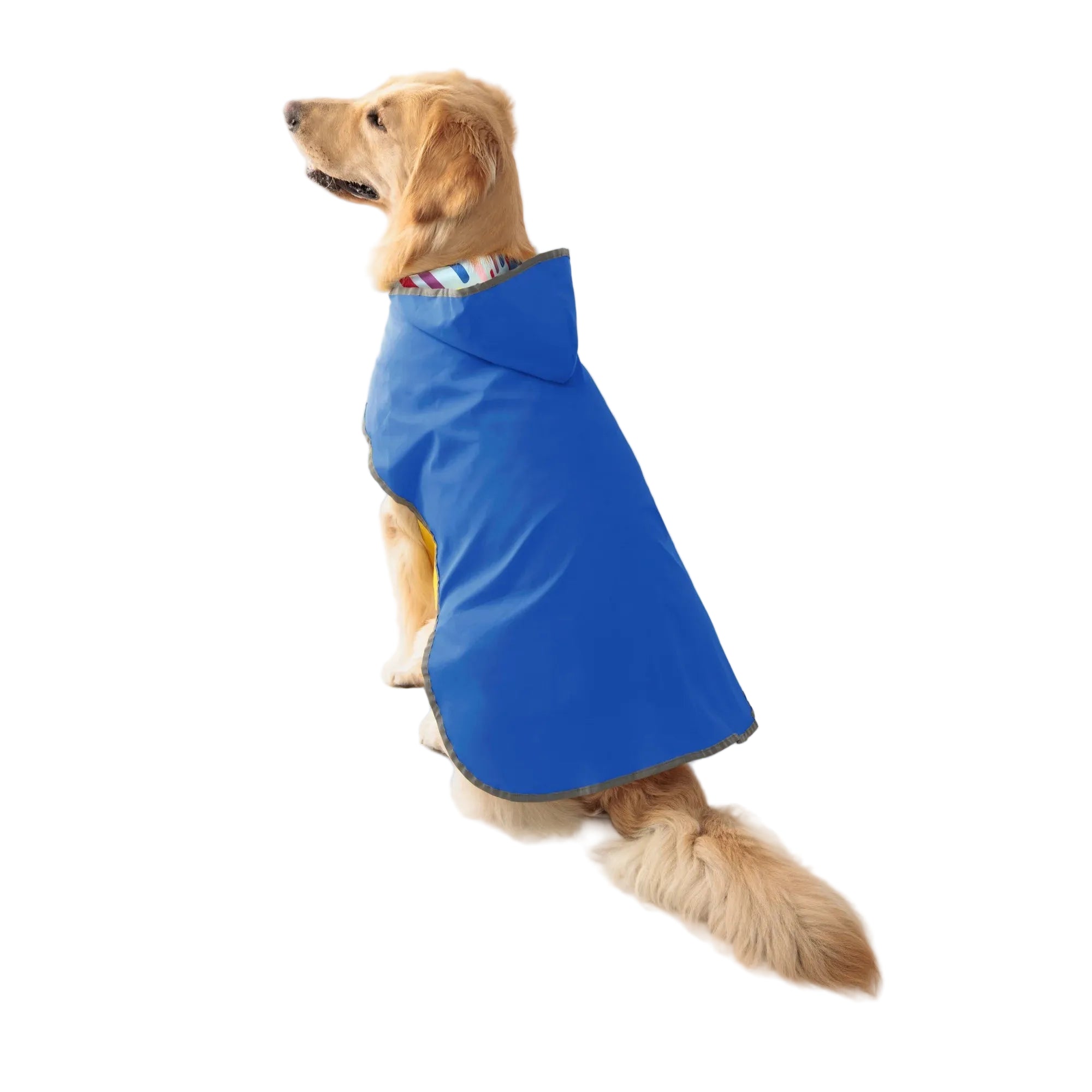 Capa de Chuva Dupla Camada para Cães — Dois lados, proteção total, estilo garantido