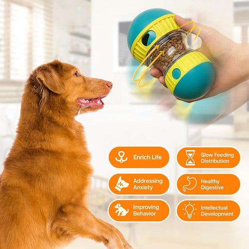 Cão a resolver a bola puzzle interativa em casa